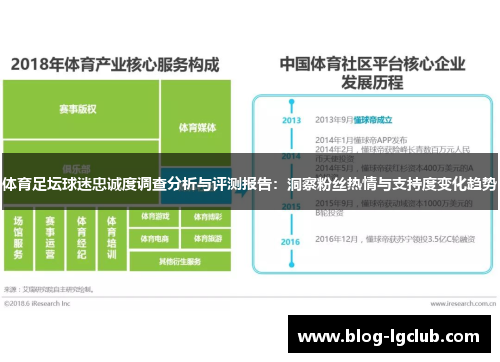 体育足坛球迷忠诚度调查分析与评测报告：洞察粉丝热情与支持度变化趋势