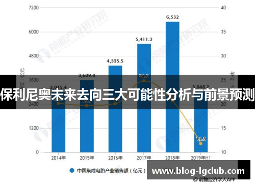 保利尼奥未来去向三大可能性分析与前景预测 保利尼奥未来去向三大可能性分析与前景预测