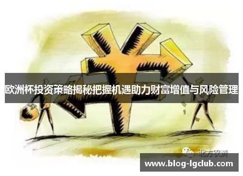 欧洲杯投资策略揭秘把握机遇助力财富增值与风险管理