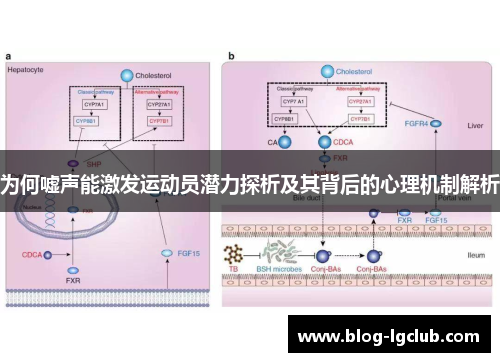 为何嘘声能激发运动员潜力探析及其背后的心理机制解析 为何嘘声能激发运动员潜力探析及其背后的心理机制解析